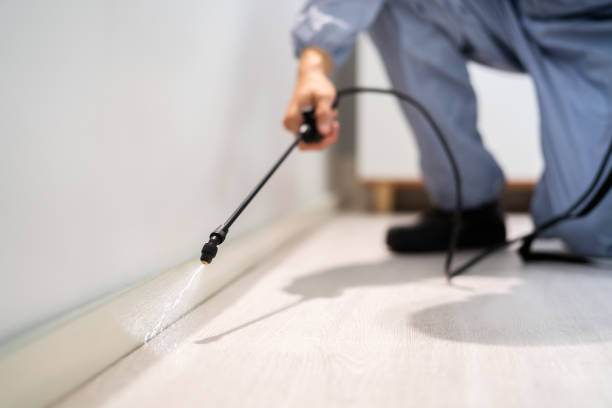 Licensed Pest Control service in Liberty, TX - Show Me Pest Control