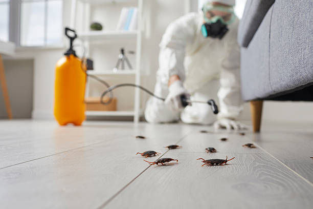 Post-Treatment Bed Bug Interceptor Monitoring in Liberty